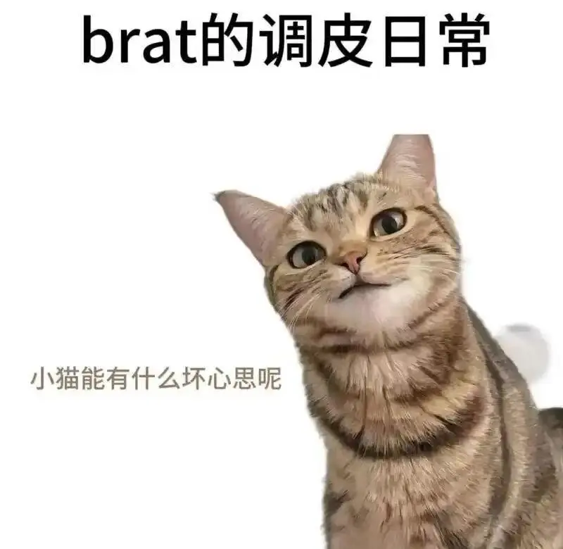 西檬之家-新人字母圈怎么入圈？BDSM核心术语与安全准则指南