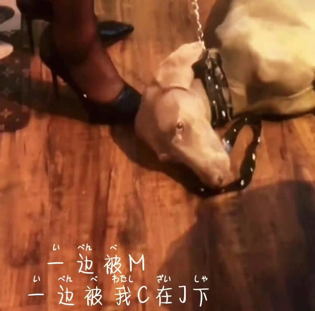 西檬之家-Sub是什么？Dom/sub关系在BDSM中的权威指南
