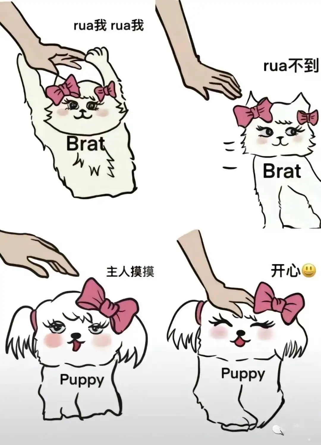 西檬之家: 字母圈新人入圈全解析从零开始掌握BDSM核心术语