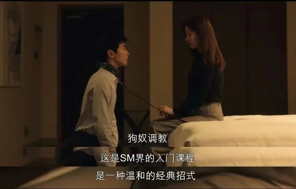西檬之家-字母圈Spank实践指南：安全、知识、乐趣一手掌握