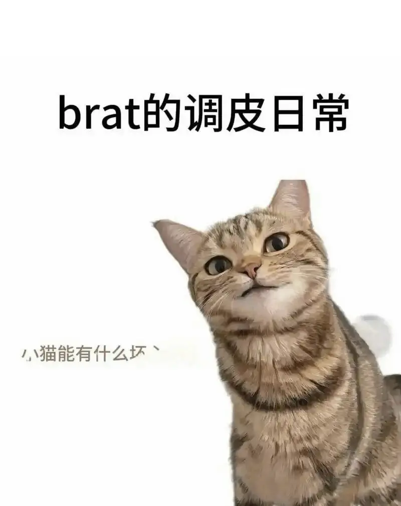 【西檬之家】BDSM字母圈践踏癖是什么意思？