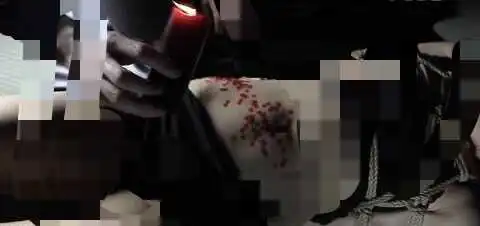 brat属性 - 2023_12_15_22_44_IMG_9316