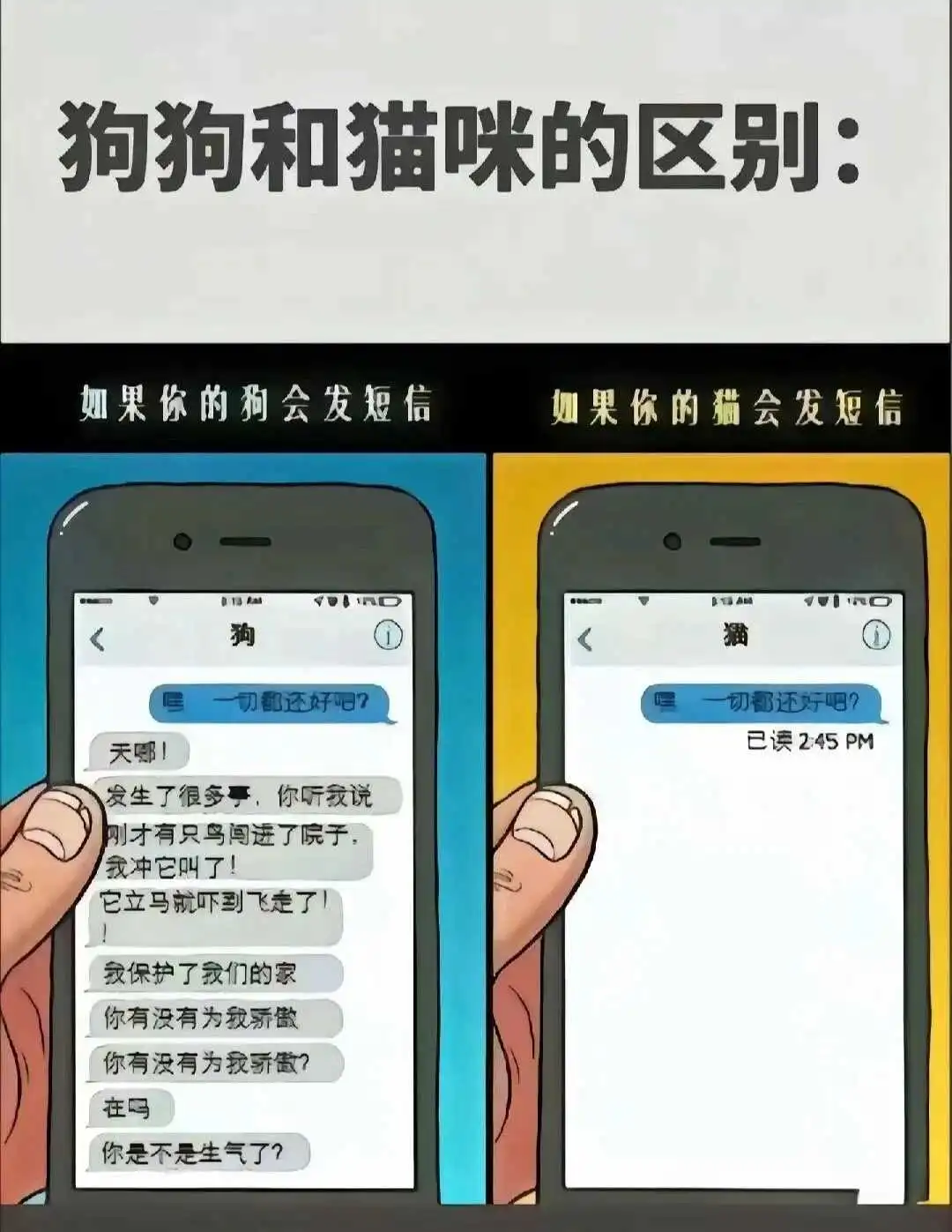 西檬之家-字母圈新人入圈指南：BDSM核心概念解析