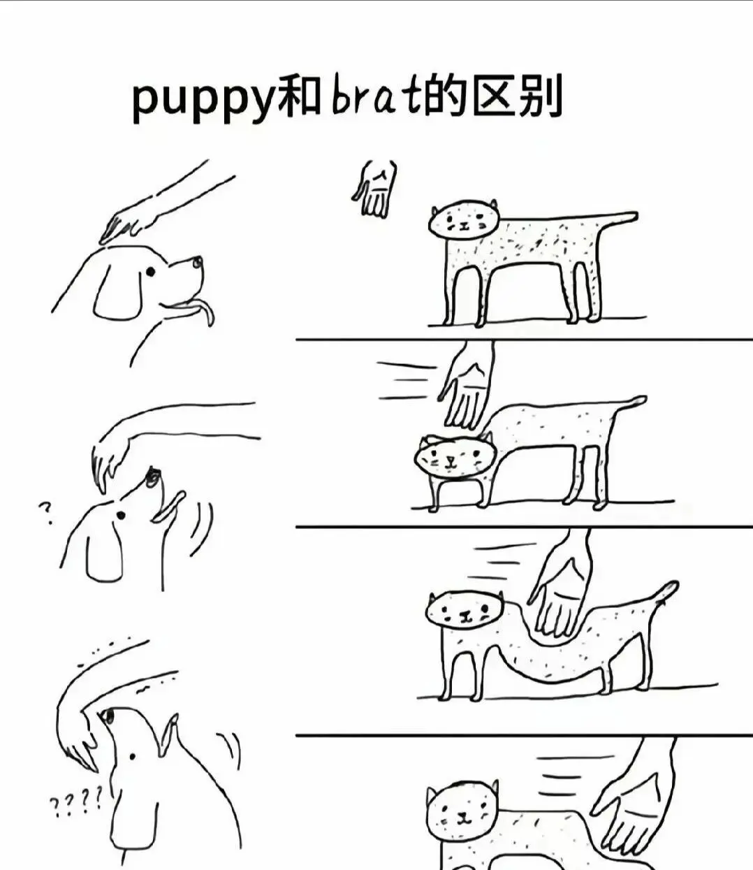 PE - 微信图片_2025-11-13_180940_765