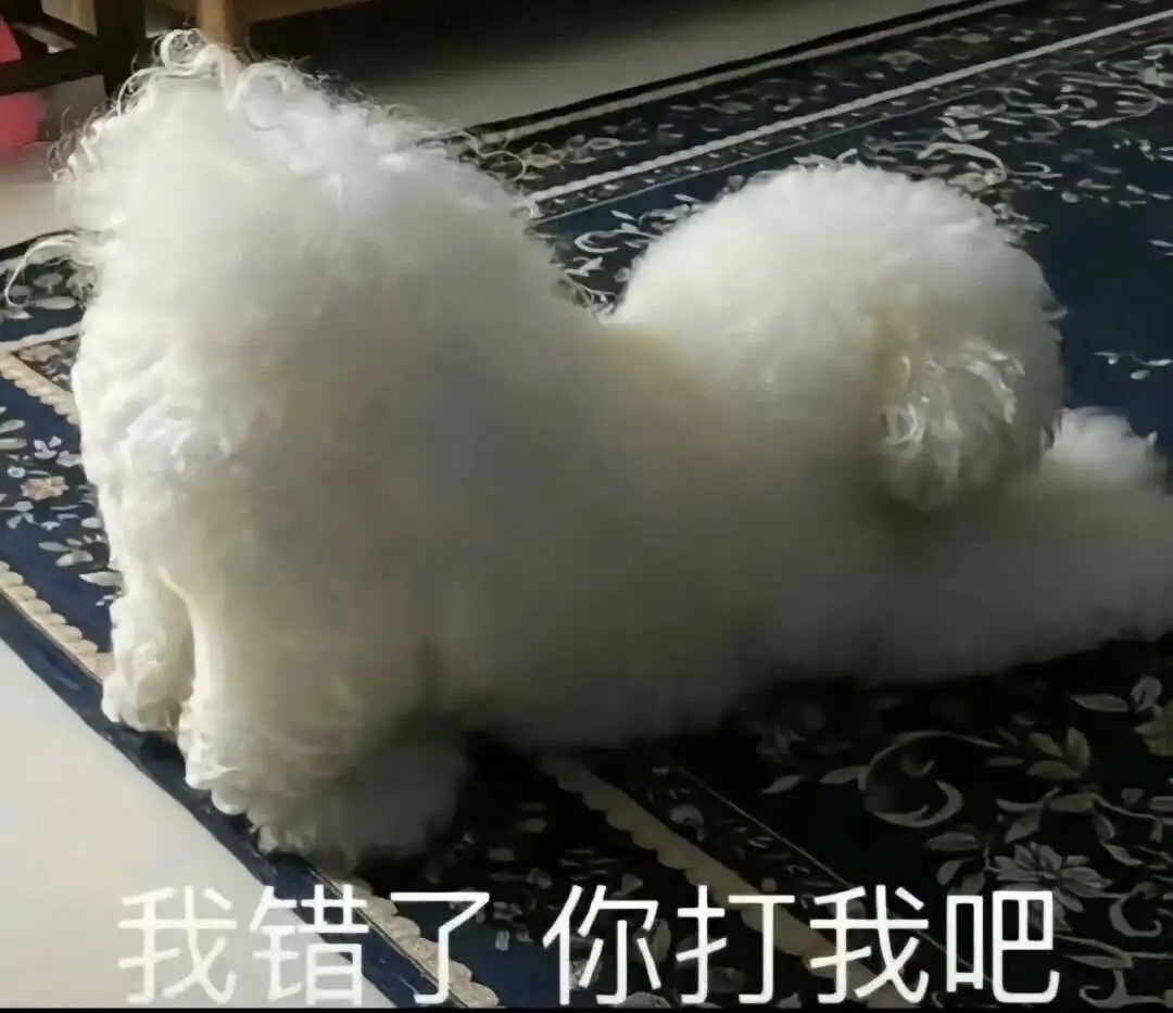 【西檬之家】BDSM亚文化入门：理解SSC原则与核心术语