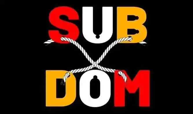 【西檬之家】DT是什么？字母圈沟通艺术入门指南